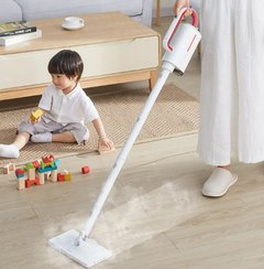 Multi function Steam Cleaner